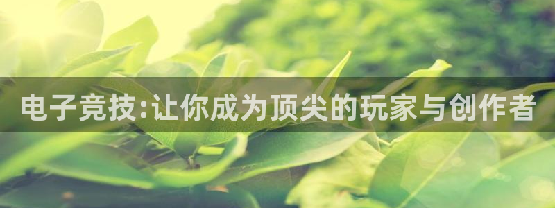 劲球体育在线观看