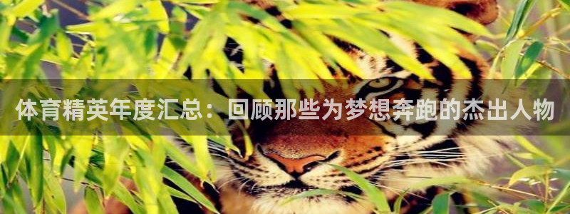 关键词