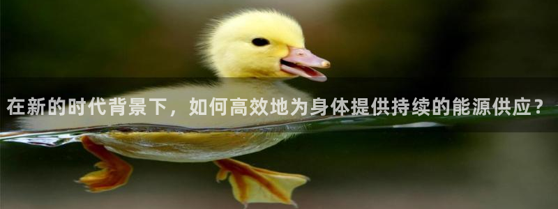 劲球体育免费直播小羊直播间：在新的时代背景下，如何高效地为身体提供持续的能源供应？