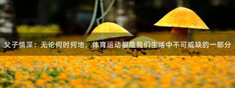 劲球体育app官方下载