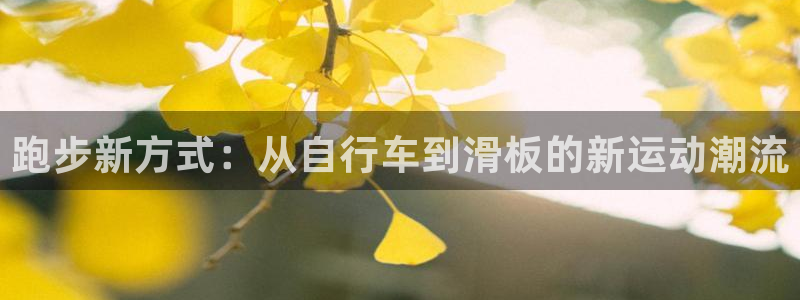 劲球体育