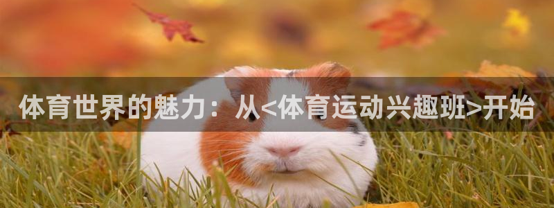 劲球体育nba直播入口