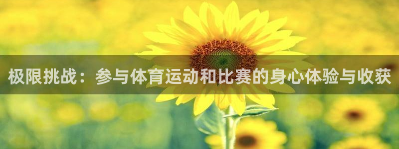 关键词