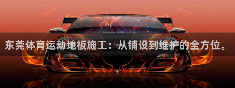劲球体育视频