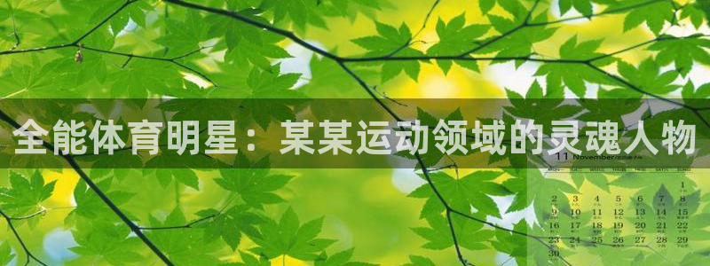 劲球体育app官方下载：全能体育明星：某某运动领域的灵魂人物